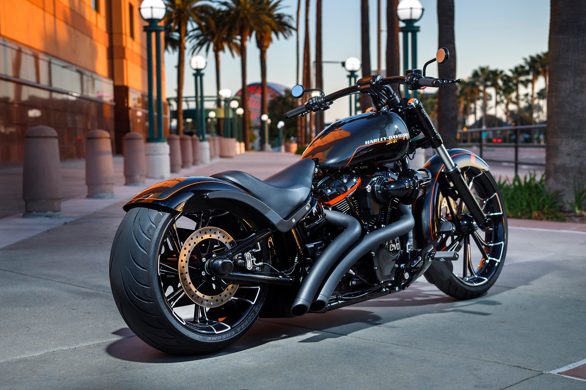 HARLEY SOFTAIL
