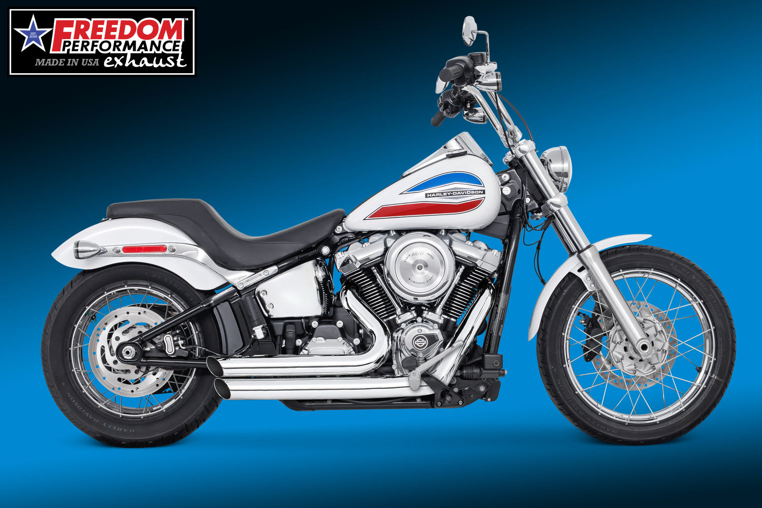 HARLEY SOFTAIL AMENDMENT SIDE SLASH 2018 - PRESENT