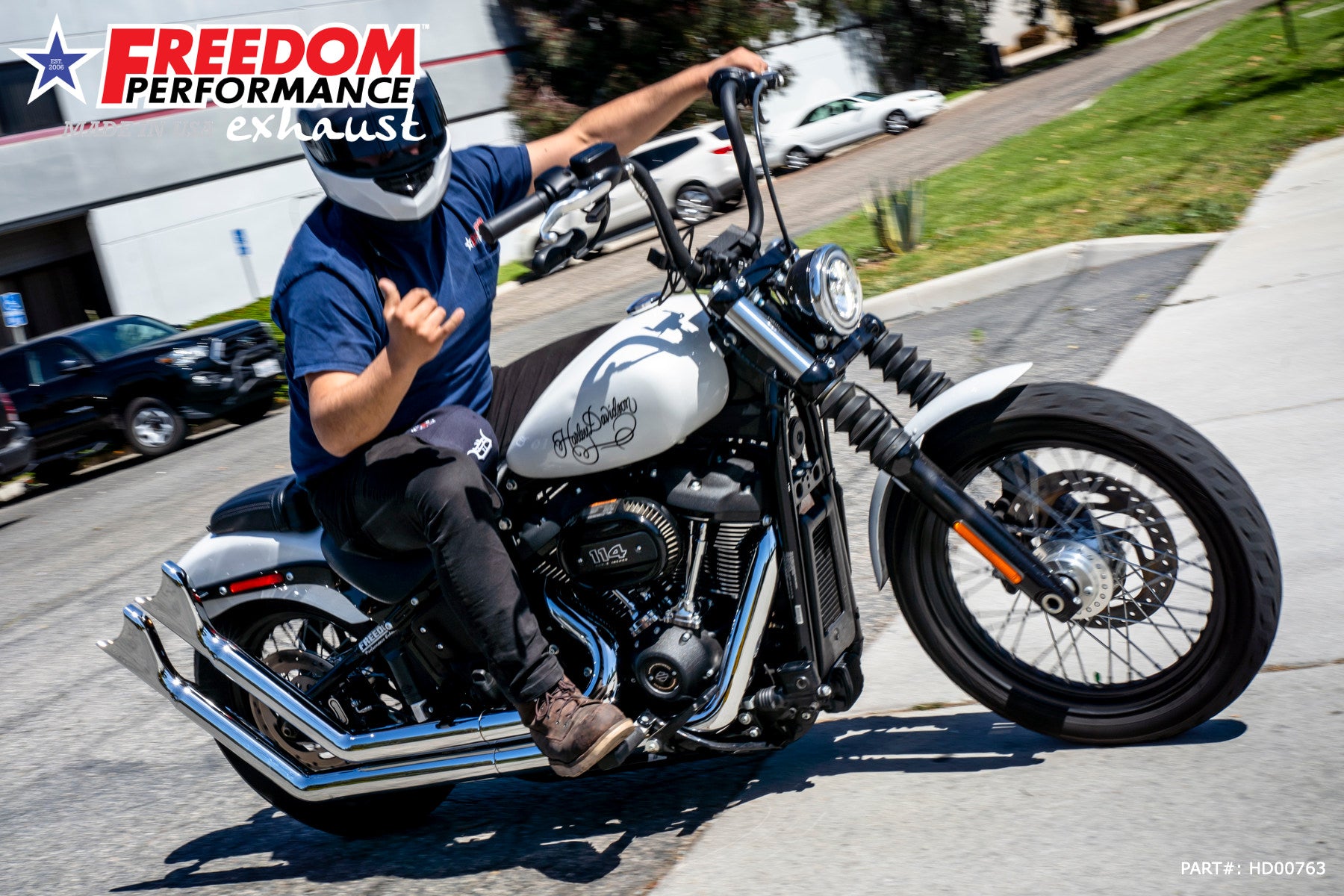 HARLEY SOFTAIL UPSWEEPS *NOT FOR WIDE TIRE BIKES